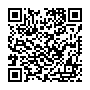 世子赵骠必定会安插许多专门负责找寻俏娘子的游哨二维码生成