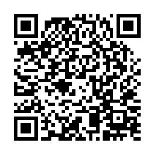 世界晋升幕后的最核心推动者所遵循的是别的一套取舍标准二维码生成