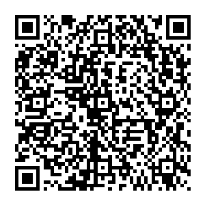 世界树中无数族类都是安静的站在属于自己的一片规则符文中缓缓阅读理解修弥着自己最深处的本源二维码生成