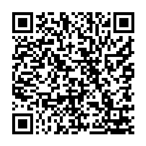 世界观被男朋友荼毒得厉害的牟晨菲不觉得恐怖袭击是个多忌讳的词儿二维码生成