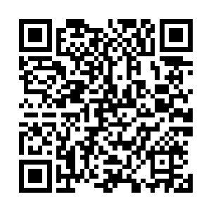 东南西北中五大域的天门城将会在天门城总城开放之前出世二维码生成