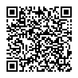 东成影业的会议室里再次召开了黑客帝国开机之后的第二场发布会二维码生成