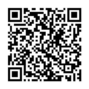 东方幽面无表情的看着眼前正一脸踌躇满志滔滔不绝的墨景黎二维码生成