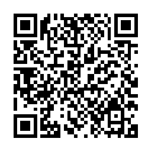 东海外海西部异海域的玄武族只是混沌世界玄武族的一个分支二维码生成