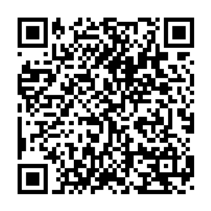 东海诸国的实力似撒盐面儿的这么均匀一分散在了辽阔的海岸线上二维码生成