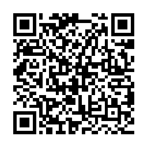东皇大帝一进来二话不说再次用出了他的次元球――次元审判二维码生成