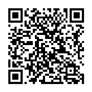 东皇残余血肉的力量完全压过了被屡屡消磨的魔佛烙印二维码生成