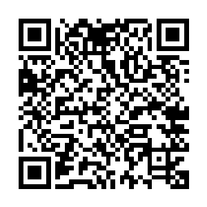 东观书店专辑销量历史排行榜上的第九个单周销量破两万的数据二维码生成