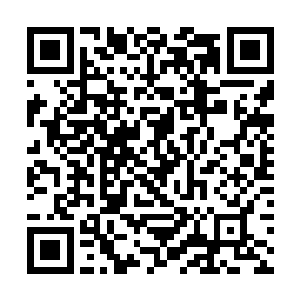 东部的佛罗里达现在也出现了不少的陆地型和飞行种二维码生成