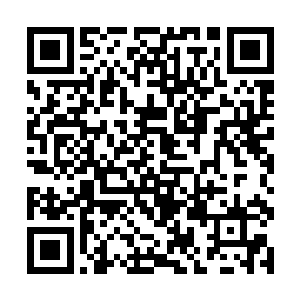 东黎墨次才不会给白芷璃和求意思两人独处的时间呢二维码生成