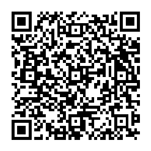 丝丝缕缕的火焰……白气弥漫的寒冰……扭曲的空间波纹……森然漆黑的死气……二维码生成