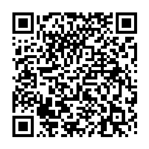 丝毫不以这些投资商可能一个项目也许就是一百万甚至几十万投资而怠慢二维码生成
