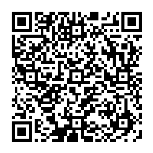 丝毫没将对面一群持枪的特种兵与几名炎黄铁旅成员放在眼里――即便他们手无寸铁二维码生成