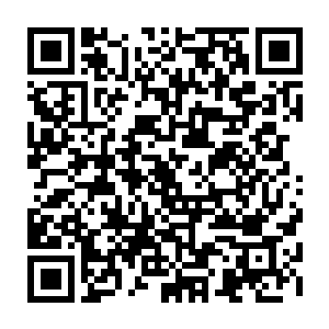 丢开石皮又拿到第二块元石剖开这次依然没什么收获里面只一根化灰兽毛而已二维码生成