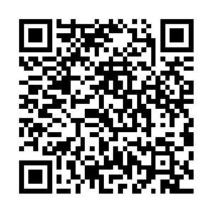 两个世家的分部的大小姐也是完全沉浸在加价的快感之中了二维码生成