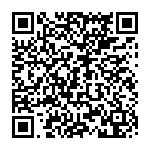 两个人就先后交手碰撞了上百次之多的……一直到两个人最后狠狠的撞击了一下二维码生成