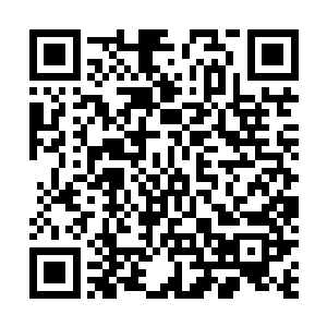 两个人居然还这样的你推过来我推过去……你们不要的话二维码生成