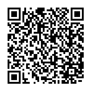 两个原本在这里维持秩序的小队长都主动跑过来询问张铁是否需要指挥他们行动二维码生成