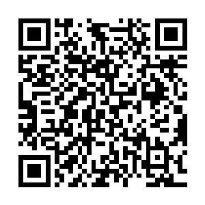 两个在下三界创造过无数传说的王者就这样开始向着下三界行进二维码生成