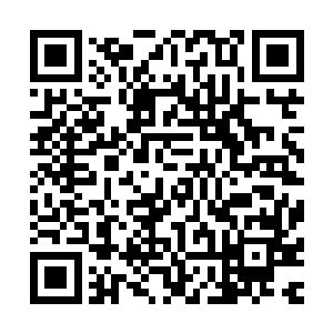 两个天使佣兵团的士兵抬着一个用胶带缠的结结实实的泡沫箱二维码生成