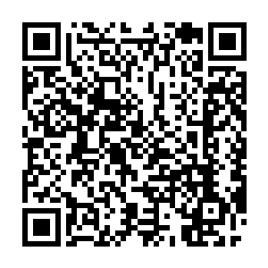 两个字的草药才是正确的话……我记得芸公主采集的草药分明是红花二维码生成