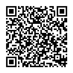 两个小王八蛋竟然打算冲进皇宫弄死皇后为他们受了侮辱的父亲复仇二维码生成