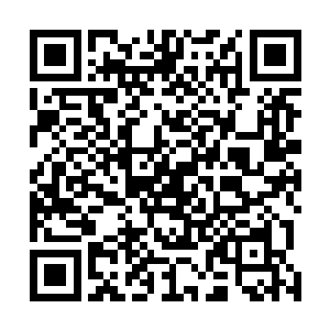 两个小鬼头看着叶凡那一脸凶神恶煞的模样便是有些害怕二维码生成