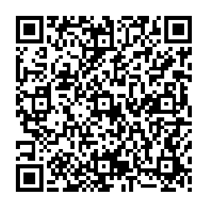 两个无论是容貌还是身材还是穿着打扮都一模一样的年轻男子从厢房大门中走了出来二维码生成