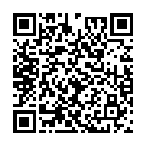 两个样貌形象一模一样的任幽草灵魂形体瞬间融合二维码生成