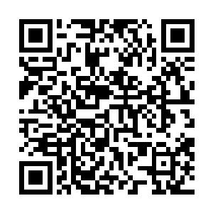 两个神王初期境界的修炼者竟然能够在试炼之中存活下来二维码生成