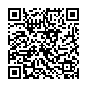 两个身着保镖制服的人手里拿着一张宣传单模样的东西冲了过来二维码生成