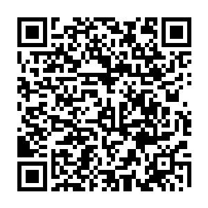 两个长老还一边在用戒指上戴着的遥感水晶在与其他长老和长风伯爵沟通着二维码生成