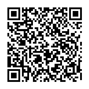 两人不过短短五年时间就将他们这一家打造成了傲视整个洪氏家族的巨型分支二维码生成