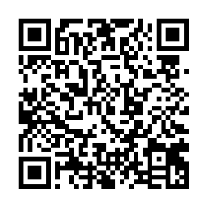 两人在非洲大草原上曾有过一段磨灭不掉的缠绵记忆二维码生成