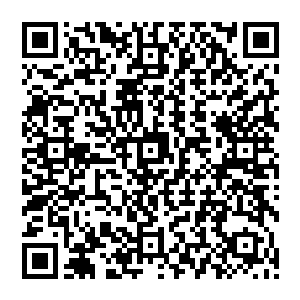 两人坐在客栈的大堂里点了早膳一边用膳一边听着同样用膳的人们讨论着昨天昭宁寺发生的事情二维码生成