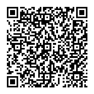 两人就这么轻易的进了警局大楼 然后來到了某一层的审讯室 见到了一脸憔悴和惊慌的林晓夕二维码生成
