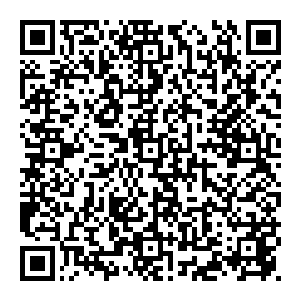两人本就十分熟悉 虽然是第一次见面 但是架不住赵纯良这能说会道的嘴 于是两人很快就变得跟网上一样熟稔了二维码生成