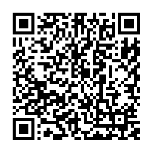 两人根据老奴提供的住址轻车熟路地寻到了苏青言所在的苏家支脉的住所二维码生成