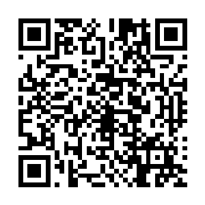 两人此刻看起来都些狼狈模样不过整体而言并无什么不妥之处二维码生成