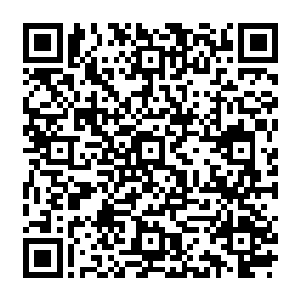 两位大公都有一部分的王室血统　所以他们的公爵身份　从很早以前就存在了　一代传一代二维码生成