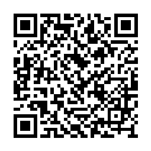 两位木森城城主再度毫发无伤地呈现在众人眼前二维码生成