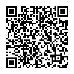 两军也按照250机甲团与第七军团各大兵团的合作方式进行协商合作二维码生成