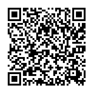 两只似狗飞非狗似猴非猴的怪物显然是符神主控制的变种金毛犼了二维码生成