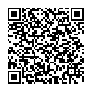 两只巨手仿佛擒小鸡一般竟然硬生生的将血河还有赤练从数万米之外拖了回来二维码生成