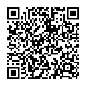 两只弑魂血神还没有什么太明显的动静……毕竟它们本就是无影无形的二维码生成