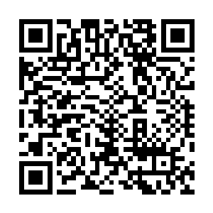 两只手掌抨击出的可怕攻击堪比之前蒙田跟孟少奇的一攻二维码生成