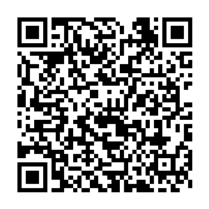 两只血妖姬身上腾一下熊起的血焰差点没把洒迭的幕篱上的白纱给撩了二维码生成