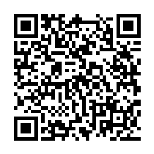 两名欲出城的仙人被城门口的的银甲守卫不客气的挡了回去二维码生成
