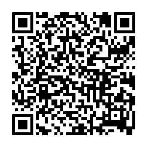 两团淡粉色的乳晕似乎因为文胸的不合体或者在舞台服装的挤压下略略向外敞开二维码生成