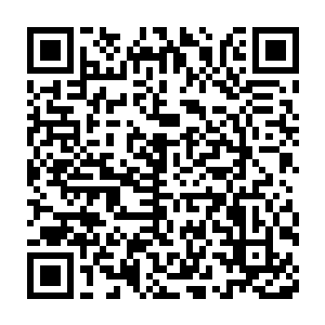 两扇房门瞬间像断了线的风铮一样的成两坏板子往房里面倒了下来二维码生成